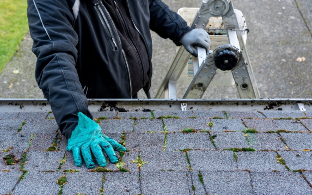 The Benefits of Regular Roof Maintenance for Your Home